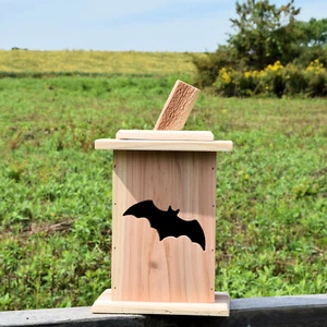 Halloween Jack-O-Lantern - Red Cedar - Flickering LED Tea Light w/ Timer - 2B-1 - Picture 1 of 4