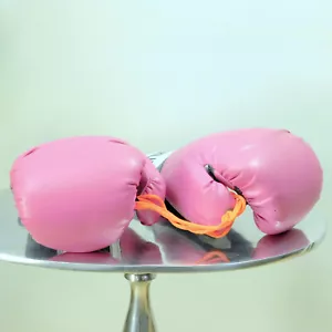 Everlast Pro Style Women's 12 oz Training Boxing Gloves Ever Fresh - Pink / Gray - Picture 1 of 7