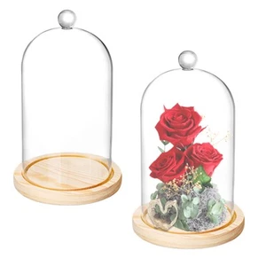 2 Pack Glass Dome, 8'' x 5'' Glass Dome Cloche with Rustic Wooden Base, Bell ... - Picture 1 of 6