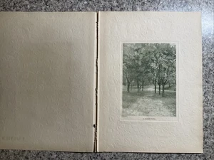 Vintage Collection Steel Engravings FAIRVIEW - Stafford Steel Intaglio - Imagen 1 de 9