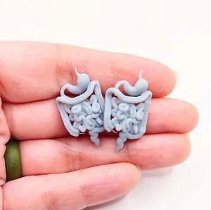 Human Guts - intestines and stomach for 1:12 scale dioramas (set of two) - Picture 1 of 3