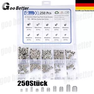 250-tlg Gewindestifte DIN 913/DIN 914 Madenschrauben M3 M4 M5 M6 M8 Sortiment - Bild 1 von 12