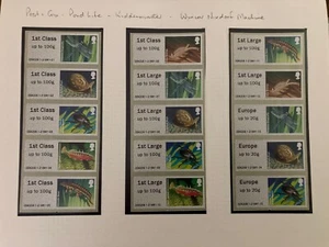 PONDS WINCOR KIDDERMINSTER FULL SET 36 to 40g POST GO - SEE ALL SCANS - RARE - Picture 1 of 3