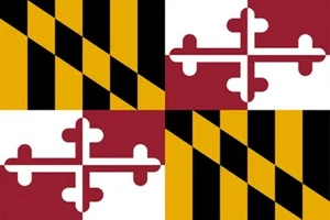 Maryland State Flagge Poster SAMMLER HISTORISCH POLITISCH bunt heiß 20x30 - Bild 1 von 1