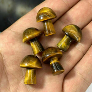 1pc Natural quartz Tiger's eye mushroom crystal hand-polished reiki healing