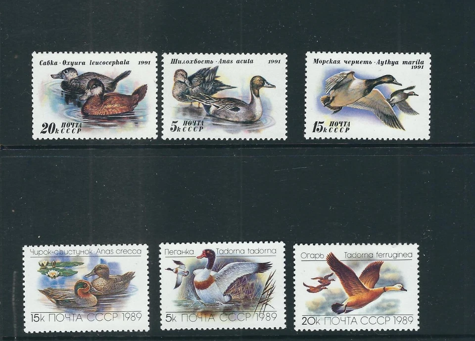 Russia SC # 5783-85 , 6009-11 DUCKS  . MNH - Image 1 of 1