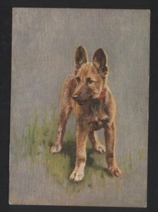 Alsation German shepherd tobacco cigarette card postcard dogs 1930's #059 - Imagen 1 de 1