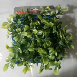 Marineland Boxwood Plant Mat - Picture 1 of 3