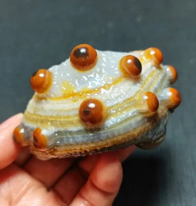 TOP 173.7G Natural Gobi Ágata Ojos Ágata/Piedra/Madagascar Curación R1532 - Imagen 1 de 10