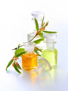 250ml Lomi-Lomi Ölmischung - Massageöl - Profiqualität - Bild 1 von 5