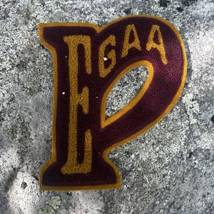 VTG PE GAA Girls Athletic Association Purple Varsity Letter Patch Illinois - Picture 1 of 4