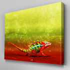 A055 Rainbow Chameleon Forest Canvas Art Ready To Hang Picture Print