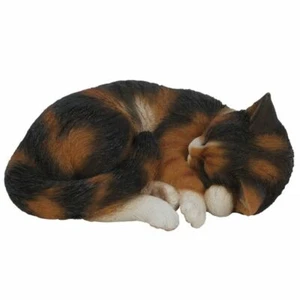 Vivid Arts Real Life - Sleeping Tortoiseshell Cat - Resin Home & Garden Ornament - Imagen 1 de 3