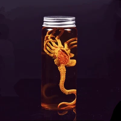 Alien Jar Xenomorph Specimen  Facehugger Embryo Prop 2.5x4.7in Display - Image 1 of 4