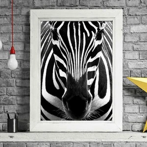 AFRICAN PATTERN - Zebra Poster Picture Print - Sizes A5 to A0 **FREE DELIVERY** - Picture 1 of 14