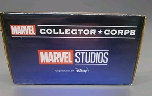 NEW Funko Marvel Collector Corps Mystery Box 2 Funkos,3XL TShirt, Pin & Sticker - Picture 1 of 8