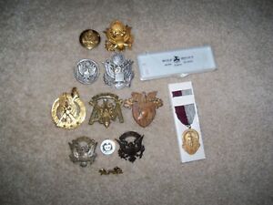 Wolf Brown Medal & Ribbon Military Academy and Institute Pins Badges Us Army Vtg