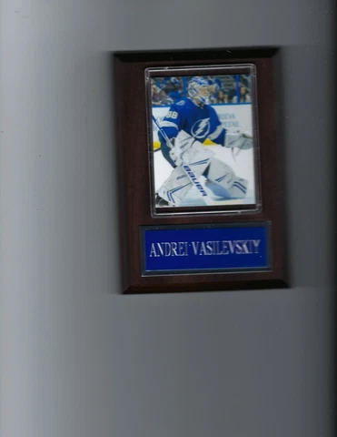 ANDREI VASILEVSKIY PLAQUE TAMPA BAY LIGHTNING HOCKEY NHL Cover
