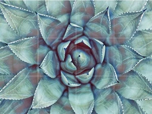 Panel de cerámica de mosaico de un cactus salpicadero azulejos mural arte de pared - Imagen 1 de 8