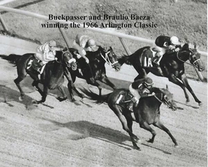 1966 - BUCKPASSER winning the Arlington Classic - 10" x 8" - Picture 1 of 1