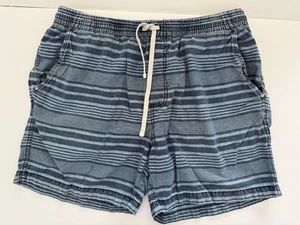 Pantalones Cortos J Crew Para Hombre Grandes Azul Rayas 100% Algodón Preppy Informales Playa Divertidos - Imagen 1 de 7