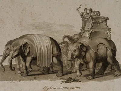 DÖBLER (*1788) nach Unbekannt (19.Jhd), Elephanti victarum gentium,  1819, KSt. - Bild 1 von 4