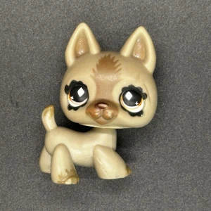 LPS Littlest Pet Shop #491  GERMAN SHEPARD DOG Brown Eyes Diamond 2007 - Picture 1 of 17