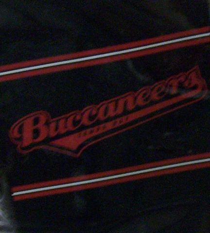 Tampa Bay Buccaneers Tail Sweep 60x80 Blanket Throw $0 Sh Cover