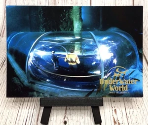 Bloomington MN Minnesota Underwater World Mall of America Postcard - Picture 1 of 4
