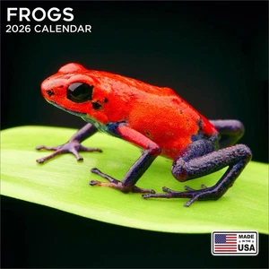 Frogs Calendar 2026 - Cute Wildlife Wall Calendar - Made in the USA! - Picture 1 of 8
