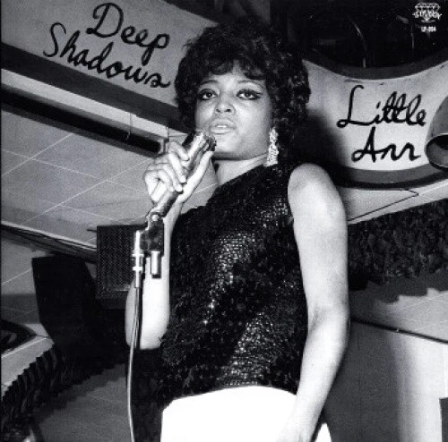 LITTLE ANN Deep Shadows LP NEW VINYL Timmion Detroit Soul - Image 1 of 1