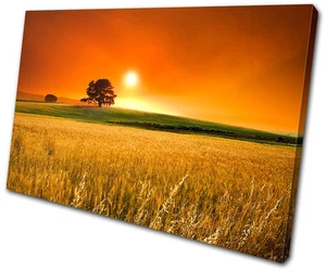 Landscapes Field Sunset SINGLE CANVAS WALL ART Picture Print VA - Picture 1 of 1