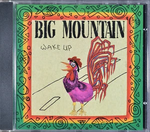 Wake Up by Big Mountain [Canada - Quality/Club 1992] - MINT - Bild 1 von 5