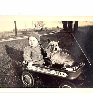 Foto in bianco e nero Little Boy & His Dog Globe Racer Wagon in bundle carino anni '30 - Foto 1 di 5