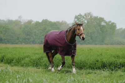 EKKIA EQUITHÈME Tyrex 1200D Thermodecke Winterdecke Outdoordecke 50g