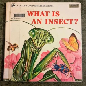 What is an Insect? by Jennifer W. Day - hardcover book - 1976 - Imagen 1 de 1