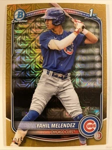 2025 Bowman Chrome BCP-222 1st Bowman Yahil Melendez Gold Mojo Fractor 30/50 - Bild 1 von 2