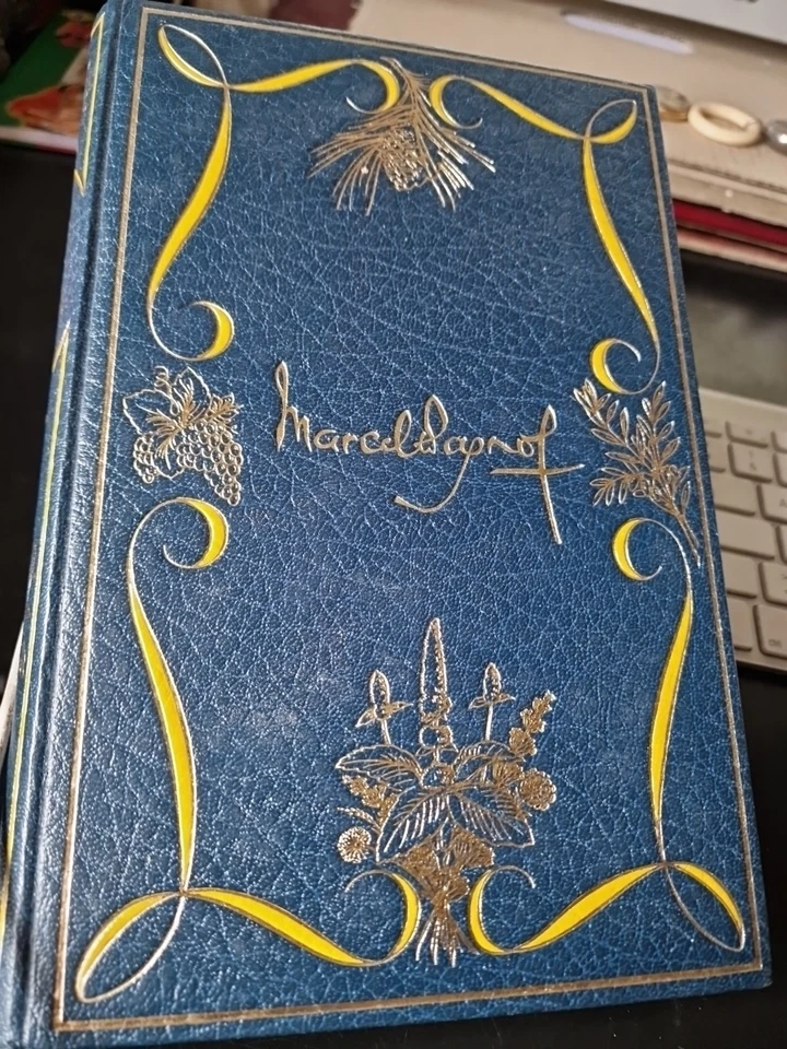 LIVRE ILLUSTRE BERTRAN MARCEL PAGNOL Topaze   PASTORELLY  - Photo 1/1