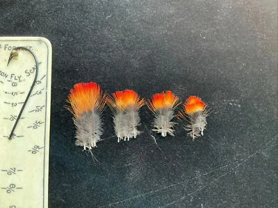 Plumas de cuervo indio Foto 1 de 4