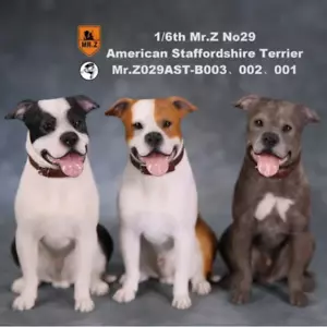 Statua in resina cane Mr.z scala 1/6 NO29 American Staffordshire Terrier IN MAGAZZINO - Foto 1 di 28
