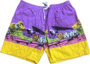 Vintage IC Sports Club Men's M Shorts Nylon Lined Beach Skater Surfer Retro RARE - Picture 1 of 11