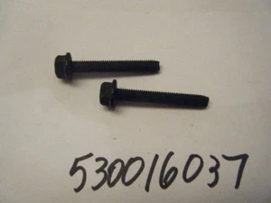 POULAN NEW SCREWS (GET 2) 530016037 (FITS MANY) - Bild 1 von 1