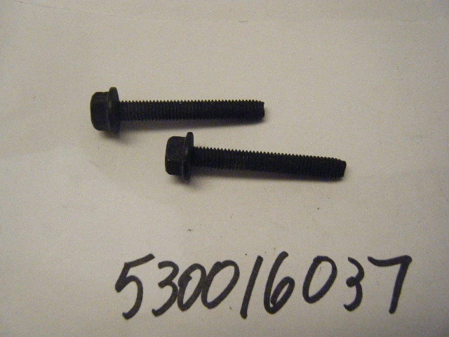 TORNILLOS POULAN NUEVOS (OBTÉN 2) 530016037 (SE ADAPTA A MUCHOS) Foto 1 de 1