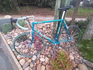 1997 58cm Serotta Atlanta Road Bike 700c Campagolo, 25th Anniversary - Picture 1 of 15