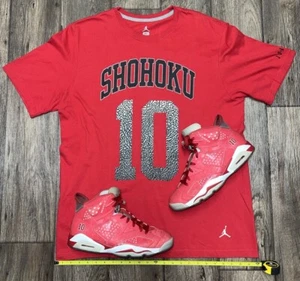 Size 10.5 - Air Jordan 6 Retro Slam Dunk 717302-600 & XL Shirt 696717-695 RARE! - Picture 1 of 15