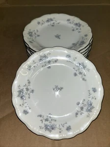 (7) Johann Haviland 6-1/4” Bone China Round Silver Rim Bread & Butter Plate - Picture 1 of 10