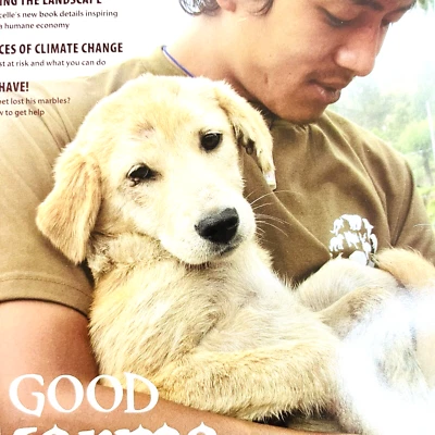 Chimpanzees The Joy of Adopting Allanimals Lot of 7 Magazines 2011 - Image 1 of 4