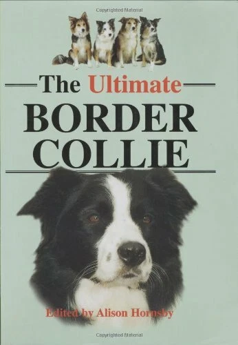 The Ultimate Border Collie - Image 1 of 1
