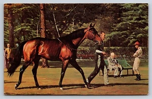Postkarte Saratoga Springs NY Nashua Vollblutpferd Smithson Broadhead AA29 - Bild 1 von 3