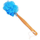 Wooden Handle Bath Brush (Color May Vary)